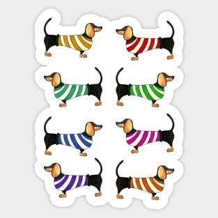 Little dachshund wearing stripped pullovers Sticker